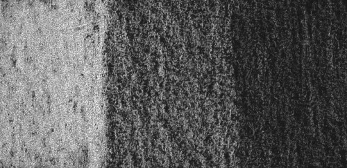 53916_12321