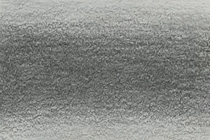 45543_54575