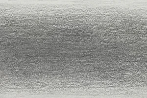 45548_54579