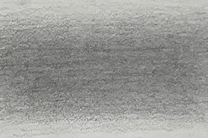 45550_54585