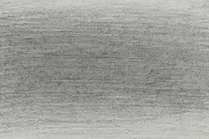 45551_54587