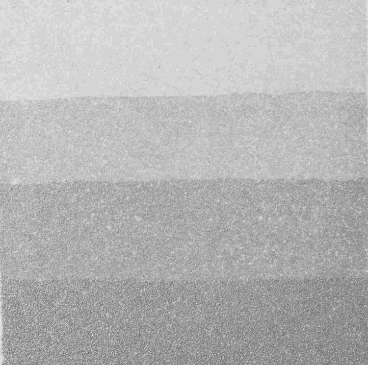 50545_54924