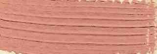 51114_10161
