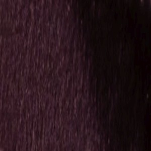 79778_28014