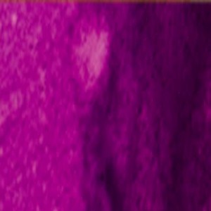 79768_28004