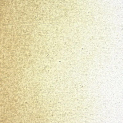 86822_30650