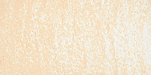51540_10569
