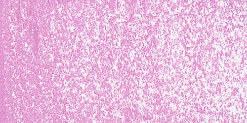 51503_10532