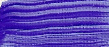 79513_27649