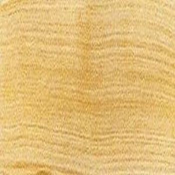 79451_27865