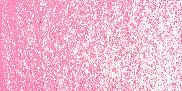 51491_10520