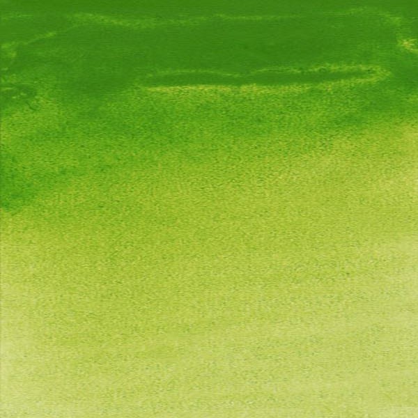 69172_22891