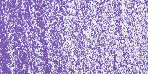 51455_10485