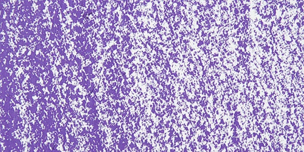 51455_10485