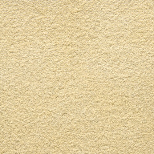50955_16664