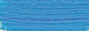 51087_10137