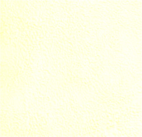 50951_23447