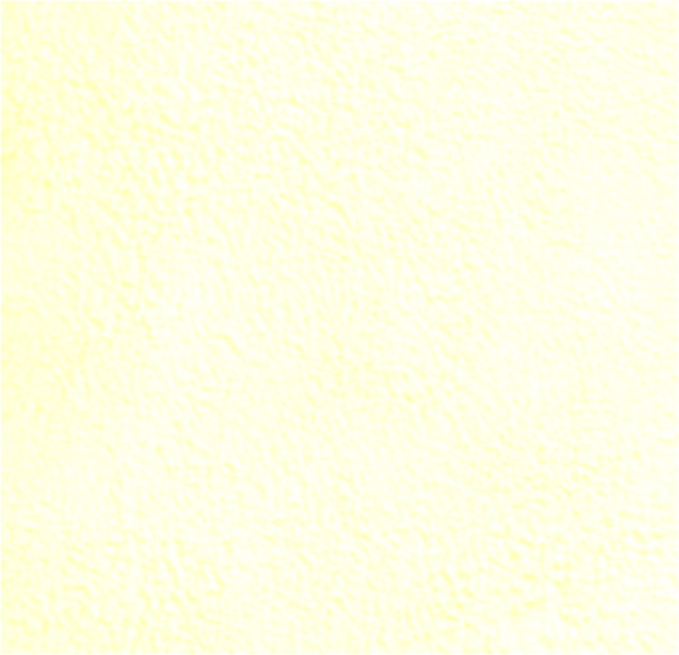 50951_23447