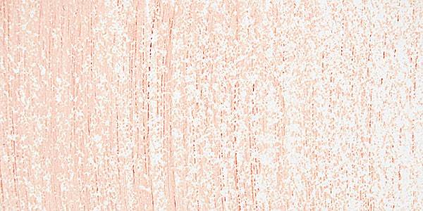 51537_10566