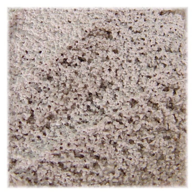 52242_11821