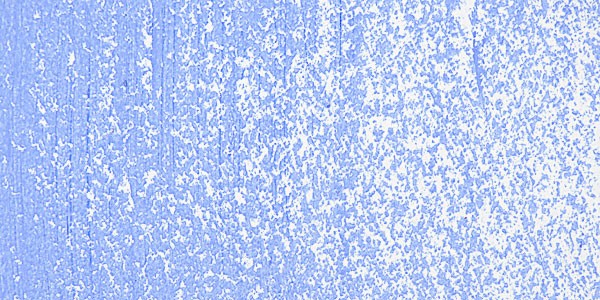 51447_10477